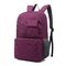 Bolso de escuela primaria púrpura, mochilas de la escuela primaria para los escolares medios