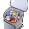 Refrigerador aislado peso ligero de la mochila de la capacidad grande de 30 latas para las comidas campestres